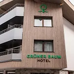 Hotel Gruener Baum Zell am See
