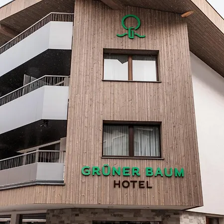 Otel Gruener Baum Zell am See