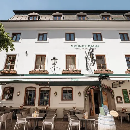 Gruener Baum 4*