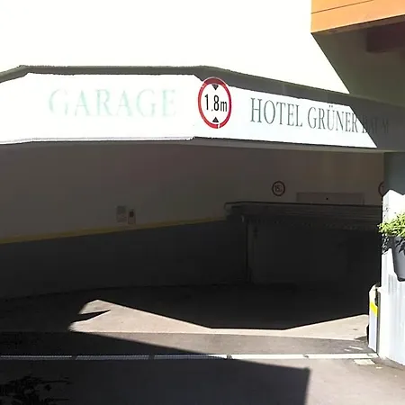 Gruener Baum 4* Zell am See