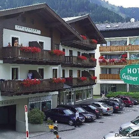 Gruener Baum Zell am See