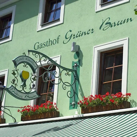 Hotel Gruener Baum