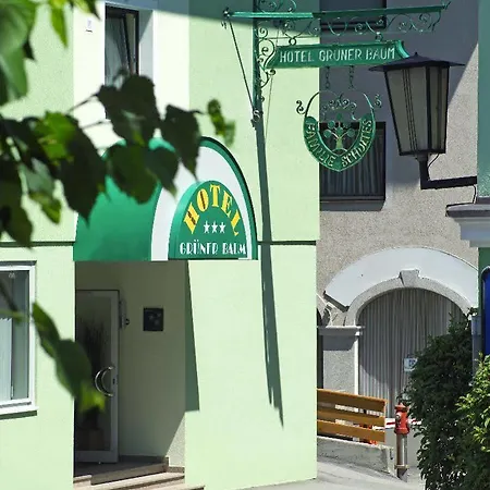 Gruener Baum