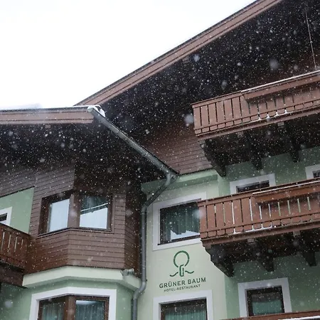 Hotel Gruener Baum Zell am See