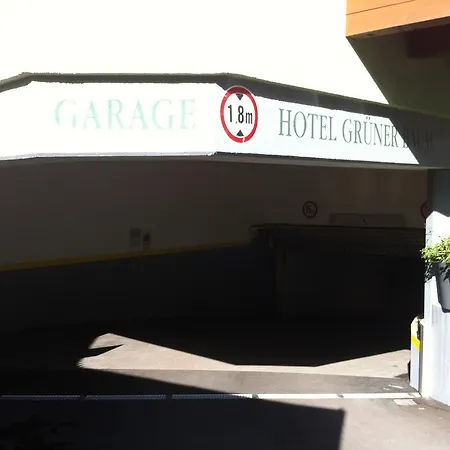 グリューナー バウム 4*