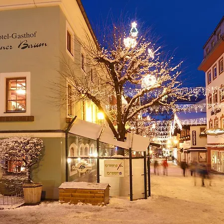 ホテル グリューナー バウム 4*