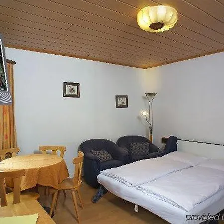 ホテル グリューナー バウム ツェル アム ゼー