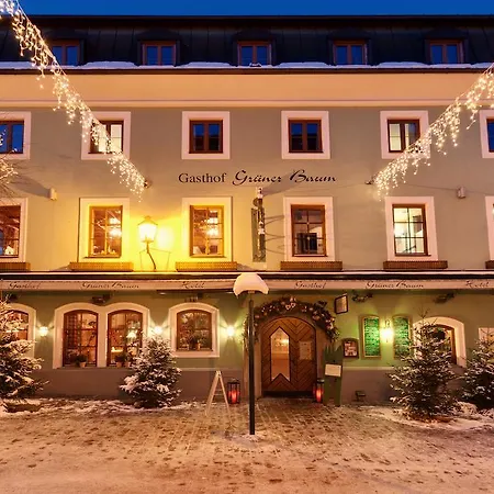 Gruener Baum Отель Целль-ам-Зе