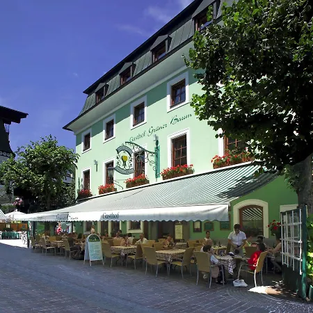 Grüner Baum 4*