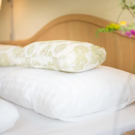 Grüner Baum Hotel 4*
