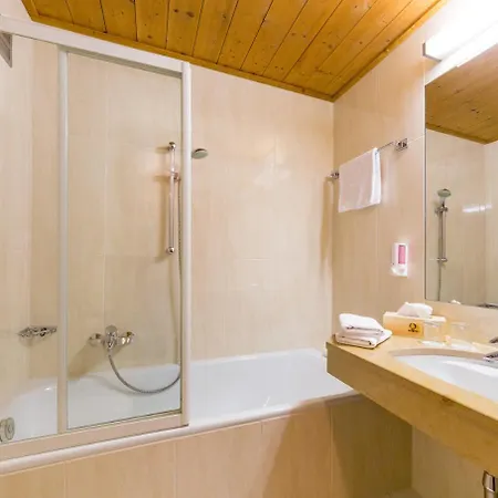 ホテル グリューナー バウム 4*